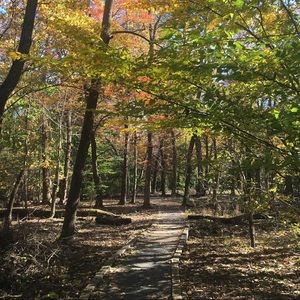 Meet your Posher, Sonya